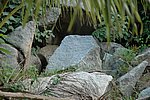 DSC_1695.JPG