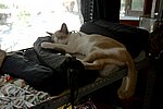 DSC_1708.JPG