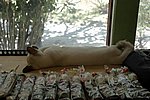 DSC_1709.JPG