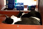 DSC_1712.JPG
