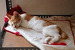 DSC_1713.JPG