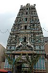 DSC_1837.JPG